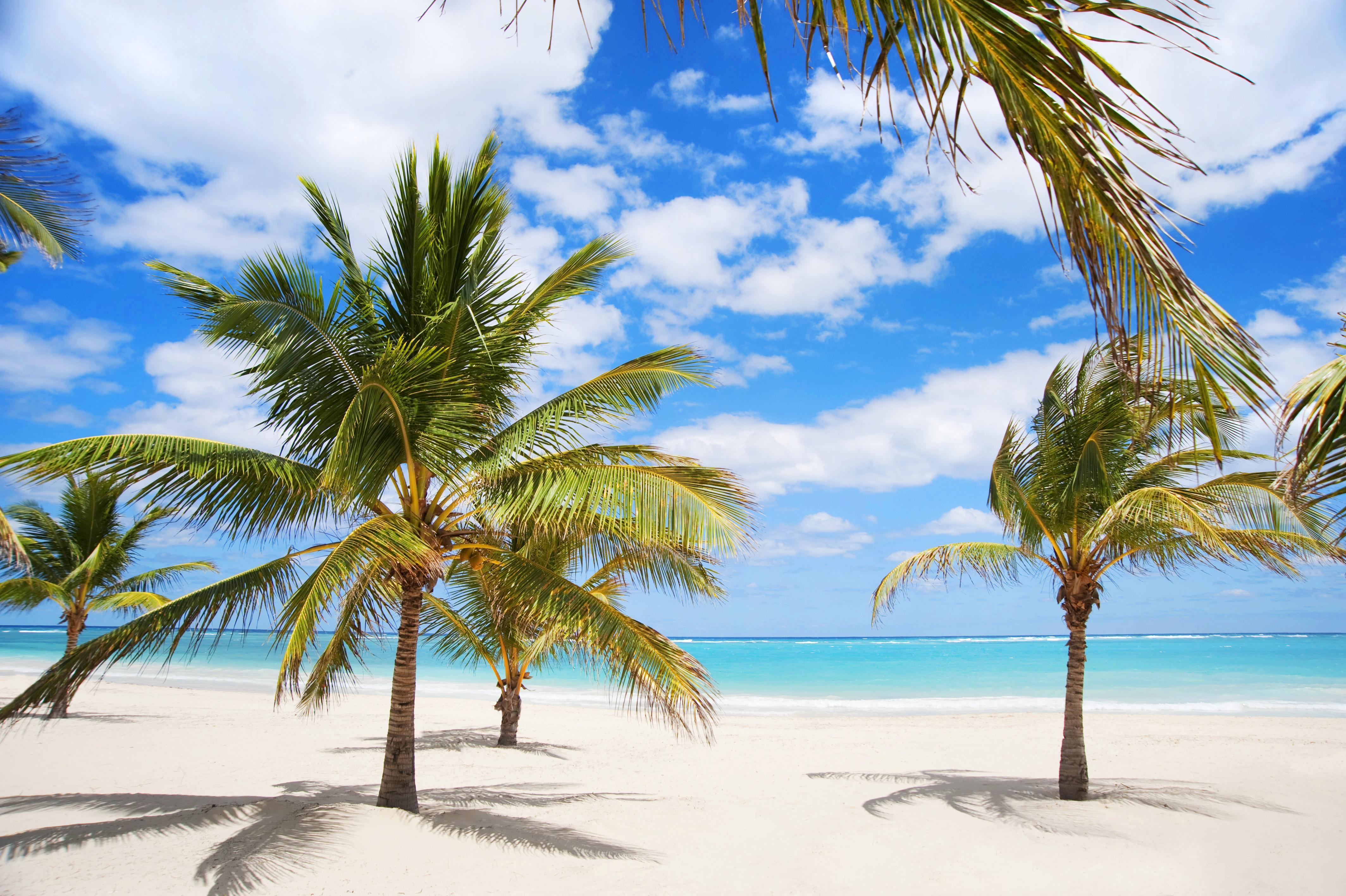 Karibo Punta Cana Zewnętrze zdjęcie